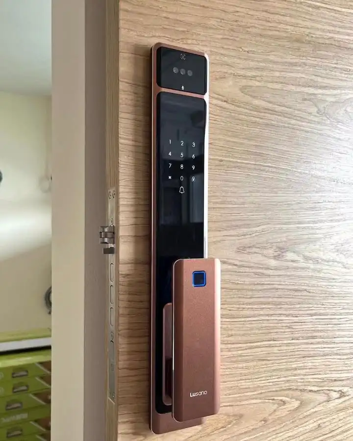 2026 Christmas Promotion for Lusano smart lock from $599 🎄🎄🎄More than 20,000 installed across Singapore with less than 1...